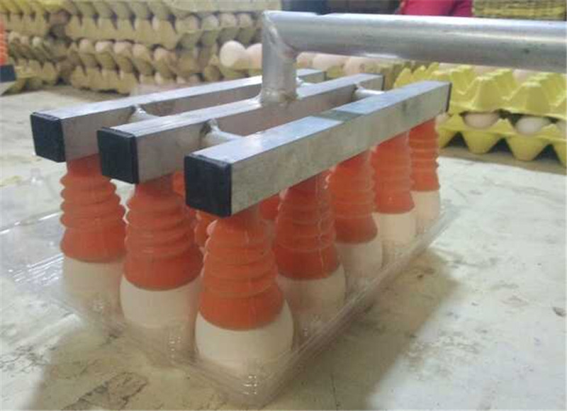 鸡蛋包装搬运用真空吸盘