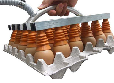 鸡蛋包装搬运用真空吸盘